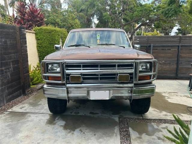 1985 Ford Bronco (CC-2122415) for sale in Cadillac, Michigan