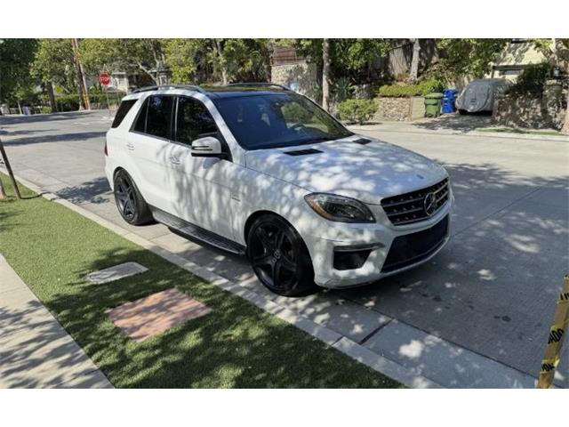 2014 Mercedes-Benz M-Class (CC-2122419) for sale in Cadillac, Michigan