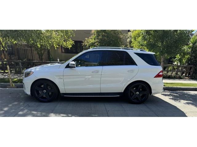 2014 Mercedes-Benz M-Class (CC-2122419) for sale in Cadillac, Michigan