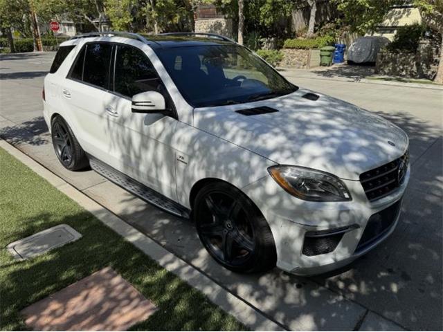2014 Mercedes-Benz M-Class (CC-2122419) for sale in Cadillac, Michigan