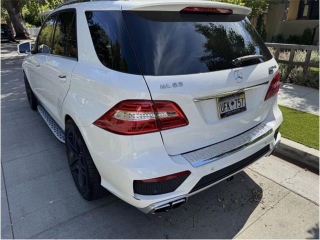 2014 Mercedes-Benz M-Class (CC-2122419) for sale in Cadillac, Michigan