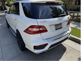 2014 Mercedes-Benz M-Class (CC-2122419) for sale in Cadillac, Michigan