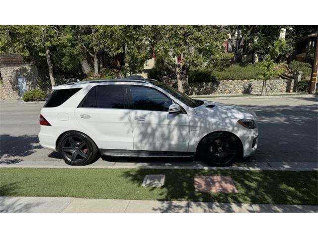 2014 Mercedes-Benz M-Class (CC-2122419) for sale in Cadillac, Michigan