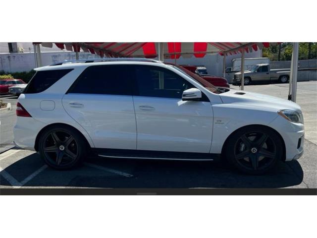 2014 Mercedes-Benz M-Class (CC-2122419) for sale in Cadillac, Michigan