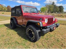 1999 Jeep Wrangler (CC-2122423) for sale in Cadillac, Michigan