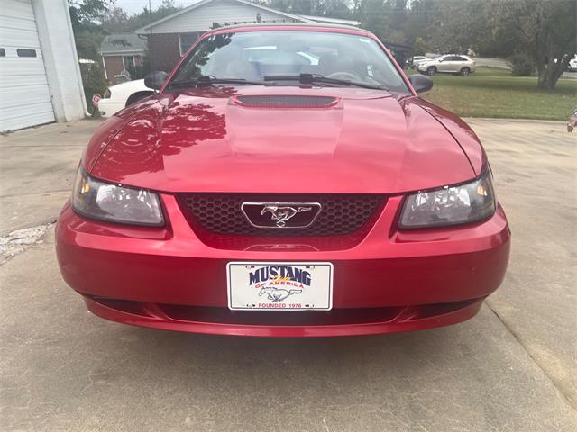 2001 Ford Convertible (CC-2122546) for sale in Cornelius, North Carolina