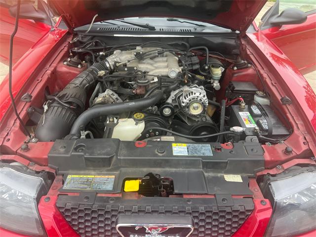 2001 Ford Convertible (CC-2122546) for sale in Cornelius, North Carolina