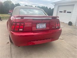 2001 Ford Convertible (CC-2122546) for sale in Cornelius, North Carolina