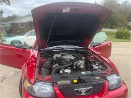 2001 Ford Convertible (CC-2122546) for sale in Cornelius, North Carolina