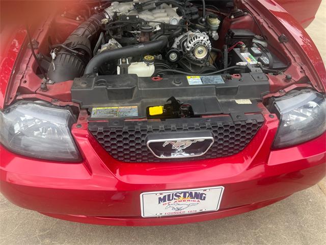 2001 Ford Convertible (CC-2122546) for sale in Cornelius, North Carolina