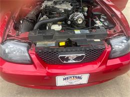 2001 Ford Convertible (CC-2122546) for sale in Cornelius, North Carolina