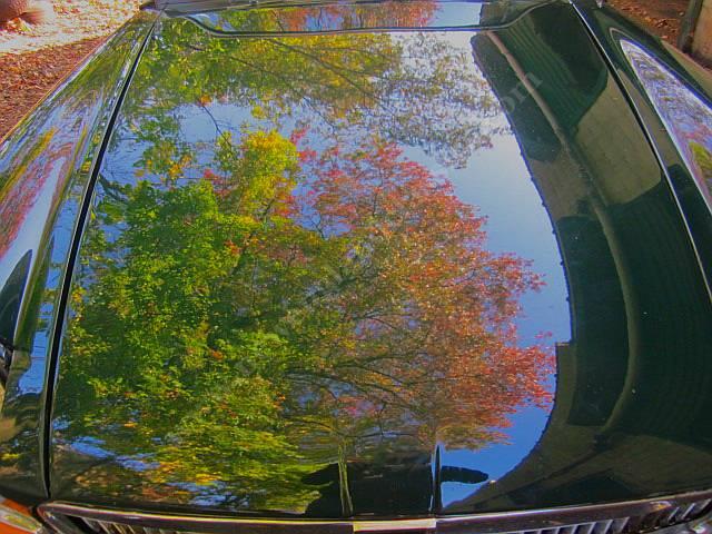 1980 MG MGB (CC-2122605) for sale in Stratford, Connecticut