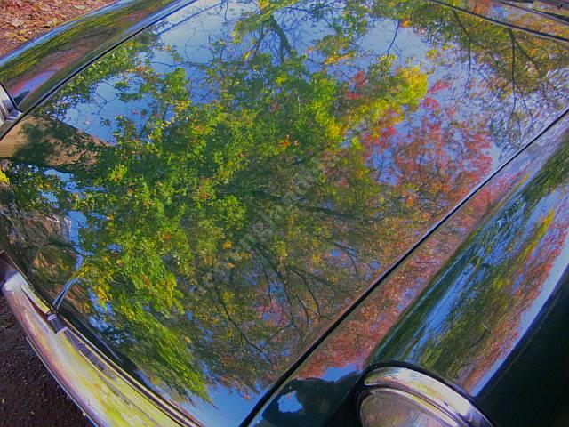 1980 MG MGB (CC-2122605) for sale in Stratford, Connecticut