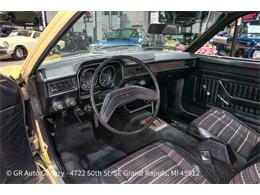 1978 Ford Pinto (CC-2122618) for sale in Kentwood, Michigan