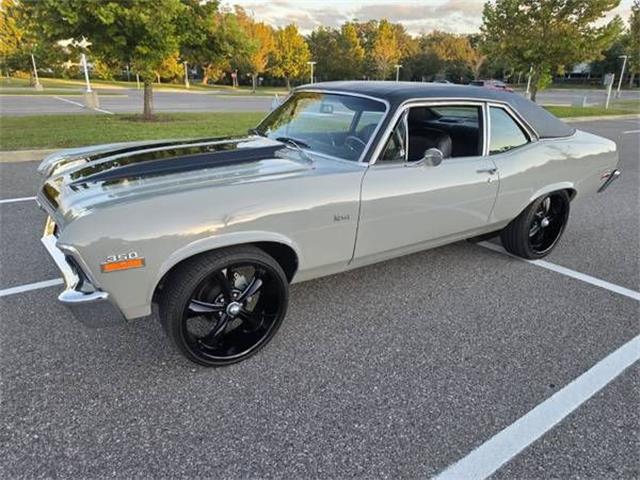 1972 Chevrolet Nova (CC-2122702) for sale in Cadillac, Michigan