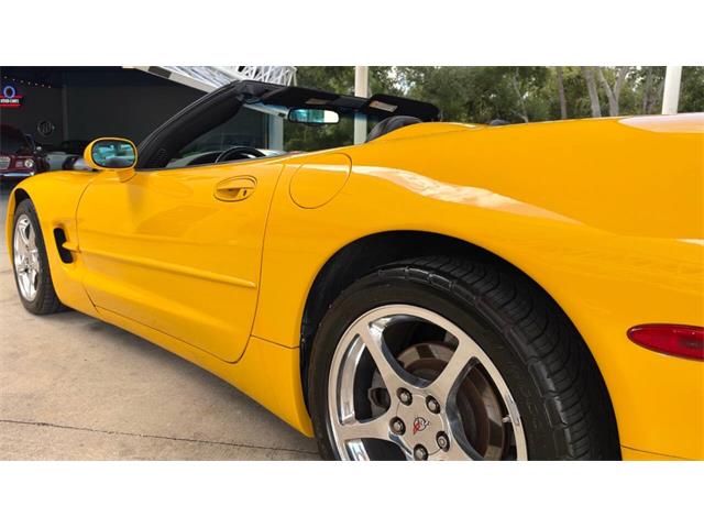 2004 Chevrolet Corvette (CC-2122715) for sale in Bradenton, Florida