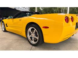 2004 Chevrolet Corvette (CC-2122715) for sale in Bradenton, Florida