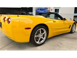 2004 Chevrolet Corvette (CC-2122715) for sale in Bradenton, Florida