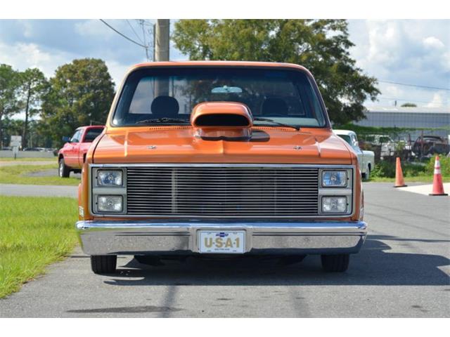 1983 Chevrolet C10 (CC-2122720) for sale in Hobart, Indiana