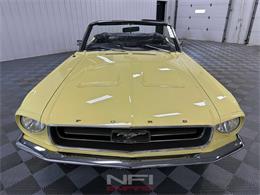 1967 Ford Mustang (CC-2122735) for sale in North East, Pennsylvania