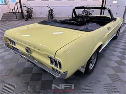 1967 Ford Mustang (CC-2122735) for sale in North East, Pennsylvania