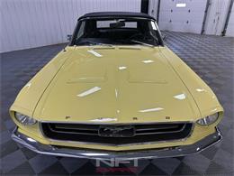 1967 Ford Mustang (CC-2122735) for sale in North East, Pennsylvania