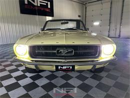 1967 Ford Mustang (CC-2122735) for sale in North East, Pennsylvania