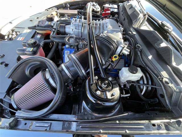 2011 Ford Shelby GT500  (CC-2122787) for sale in Hilton, New York