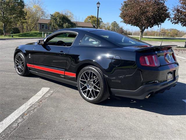 2011 Ford Shelby GT500  (CC-2122787) for sale in Hilton, New York