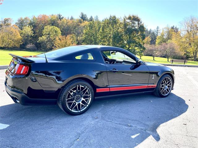 2011 Ford Shelby GT500  (CC-2122787) for sale in Hilton, New York