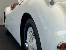 1956 Jaguar XK (CC-2122813) for sale in Los Angeles, California