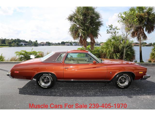 1975 Buick Regal (CC-2122837) for sale in Fort Myers, Florida