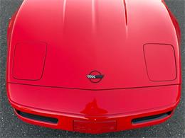 1995 Chevrolet Corvette (CC-2122889) for sale in Woodbury, New Jersey
