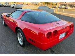 1995 Chevrolet Corvette (CC-2122889) for sale in Woodbury, New Jersey