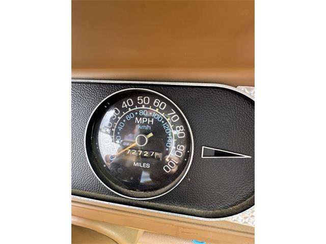 1977 AMC Gremlin (CC-2122991) for sale in Lafayette , Louisiana