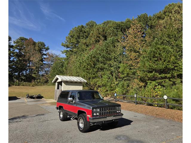 1989 Chevrolet Blazer (CC-2123028) for sale in Cumming, Georgia