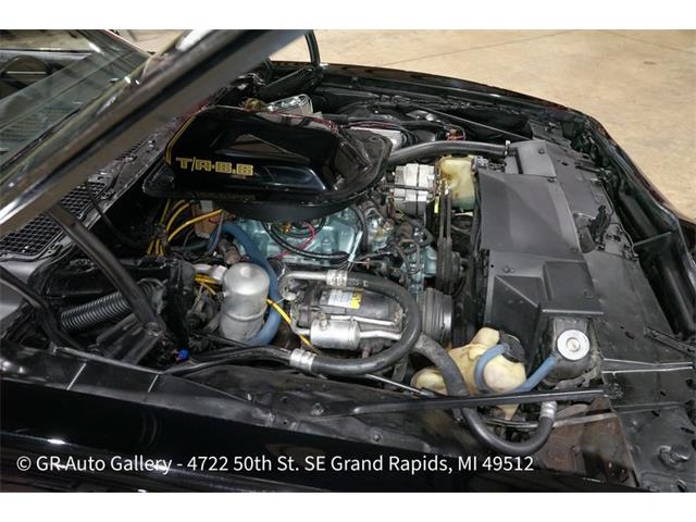 1979 Pontiac Firebird (CC-2123036) for sale in Kentwood, Michigan