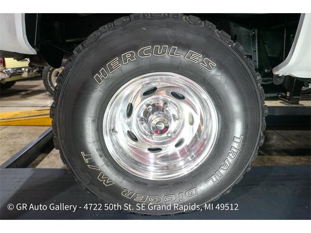1977 Chevrolet K-10 (CC-2123047) for sale in Kentwood, Michigan