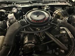 1984 Chevrolet Camaro Z28 (CC-2123065) for sale in Greensboro, North Carolina