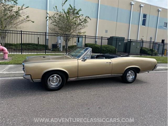1967 Pontiac GTO (CC-2123198) for sale in Clearwater, Florida