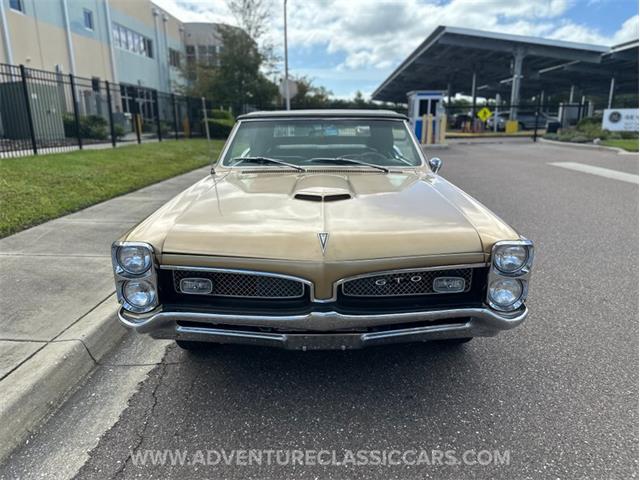 1967 Pontiac GTO (CC-2123198) for sale in Clearwater, Florida