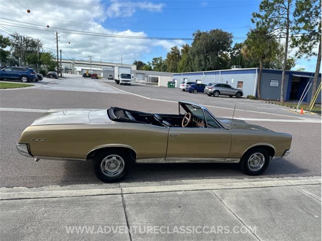 1967 Pontiac GTO (CC-2123198) for sale in Clearwater, Florida
