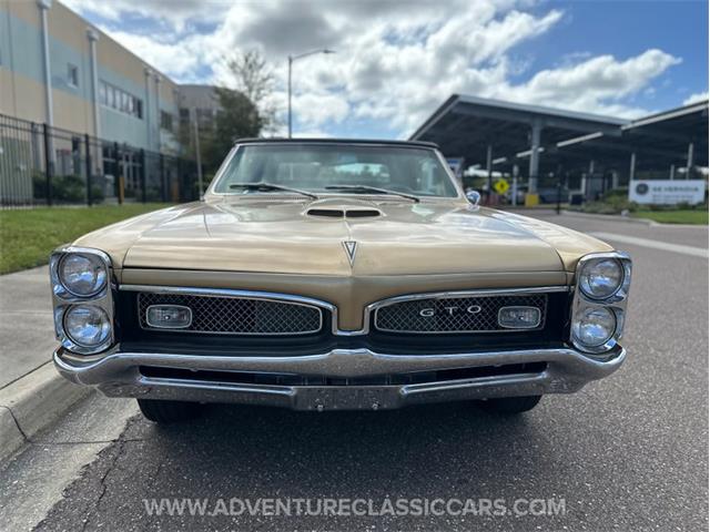1967 Pontiac GTO (CC-2123198) for sale in Clearwater, Florida