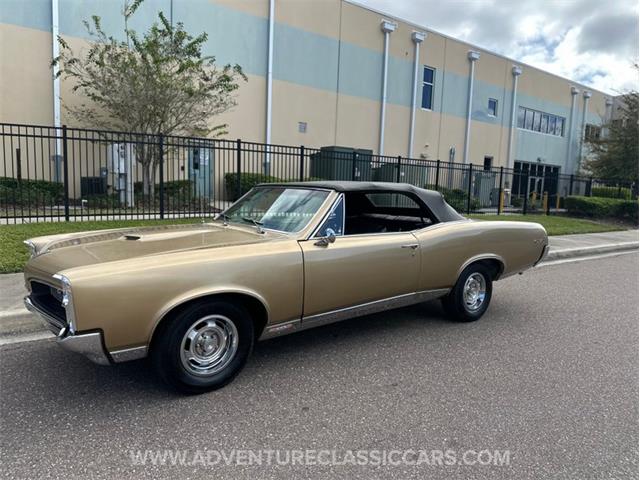 1967 Pontiac GTO (CC-2123198) for sale in Clearwater, Florida