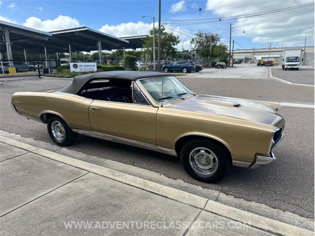 1967 Pontiac GTO (CC-2123198) for sale in Clearwater, Florida