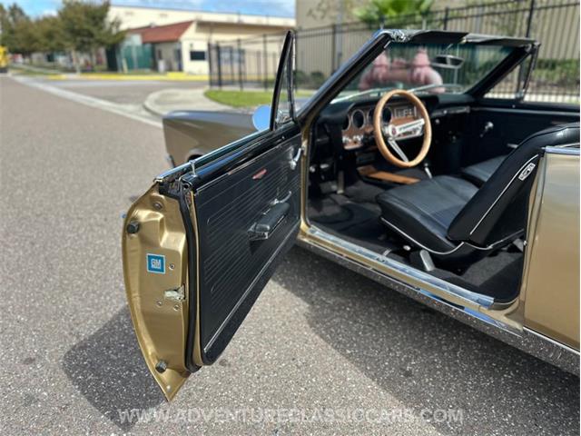 1967 Pontiac GTO (CC-2123198) for sale in Clearwater, Florida