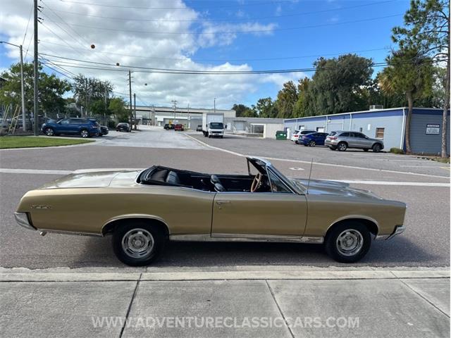 1967 Pontiac GTO (CC-2123198) for sale in Clearwater, Florida