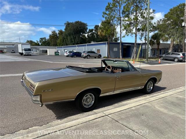 1967 Pontiac GTO (CC-2123198) for sale in Clearwater, Florida