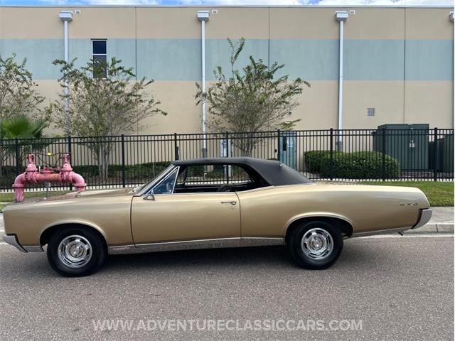 1967 Pontiac GTO (CC-2123198) for sale in Clearwater, Florida