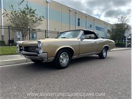 1967 Pontiac GTO (CC-2123198) for sale in Clearwater, Florida